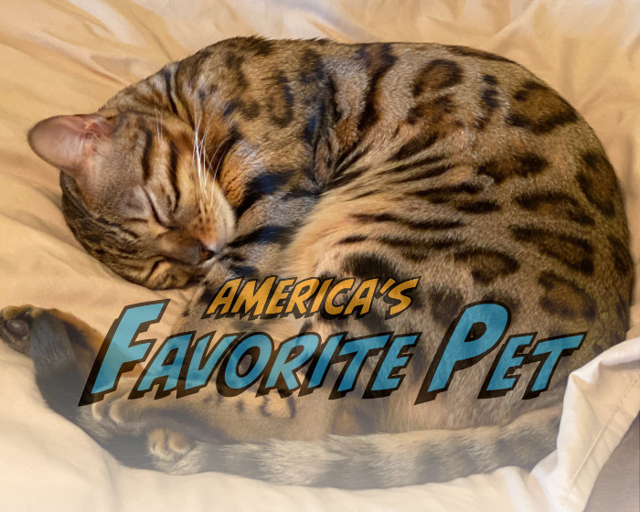nala-america-s-favorite-pet