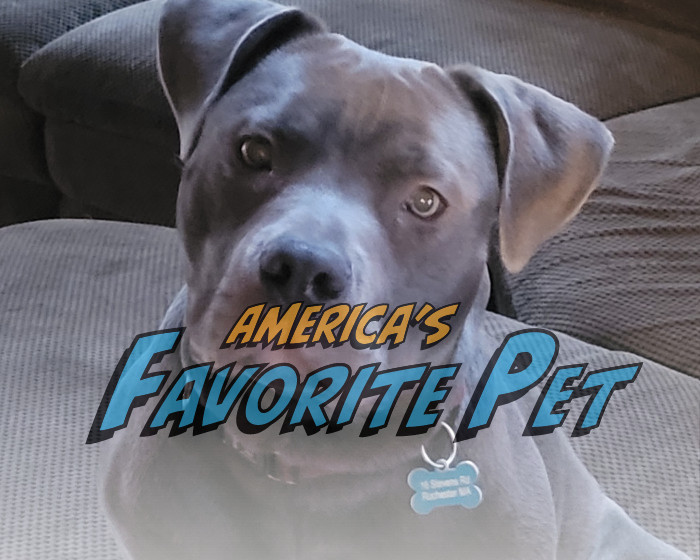 Ghost America's Favorite Pet