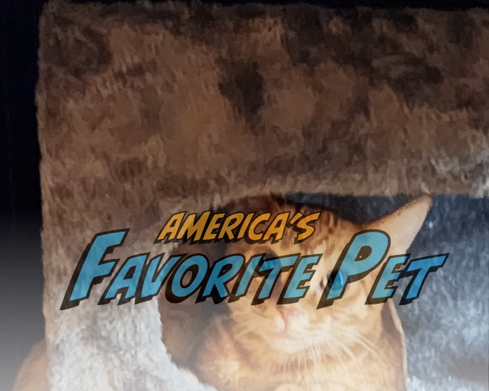 Poppy | America's Favorite Pet