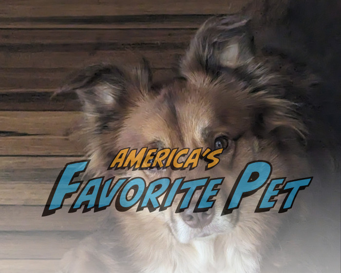 Simon America s Favorite Pet