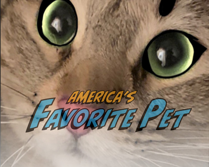 americasfavpet.com