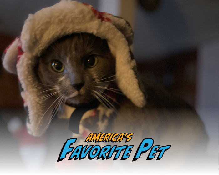 Molly | America's Favorite Pet