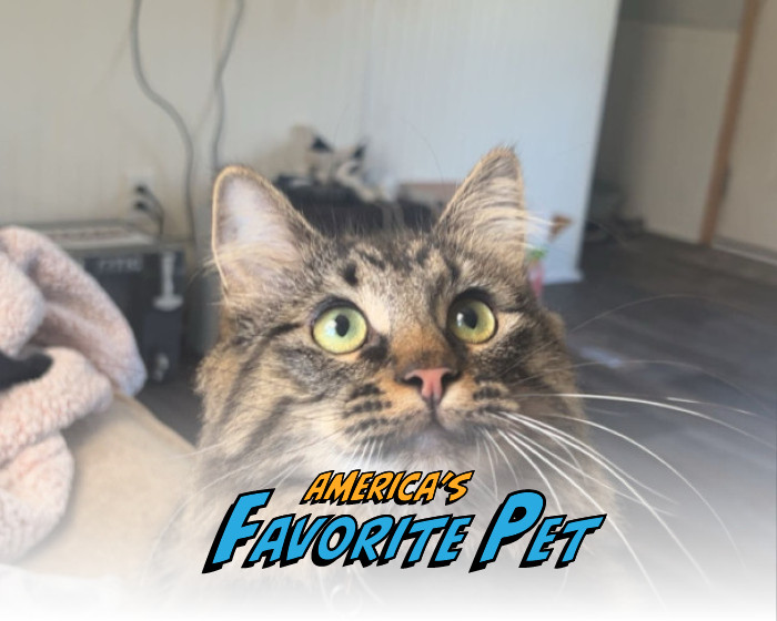 Ember Ray | America's Favorite Pet