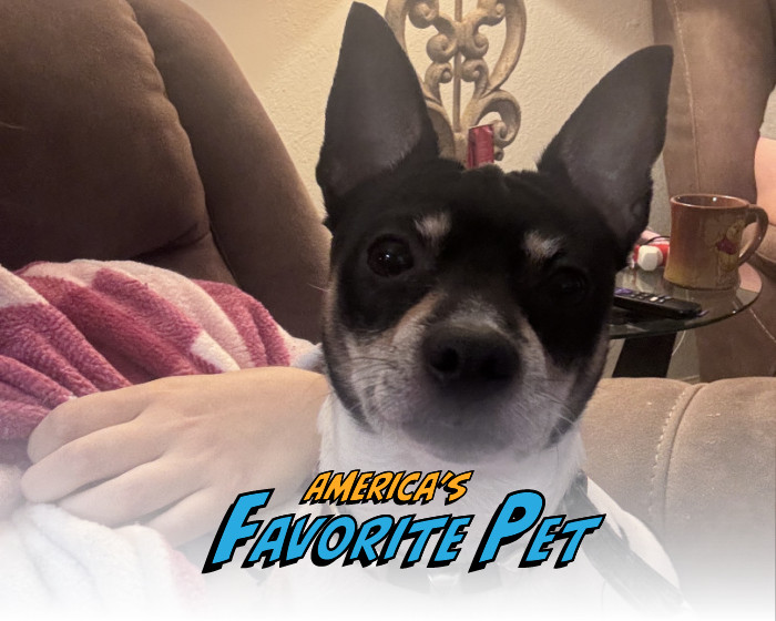 Riley | America's Favorite Pet