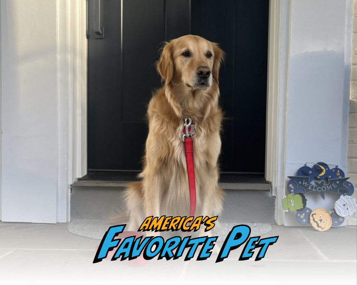 Zoey | America's Favorite Pet